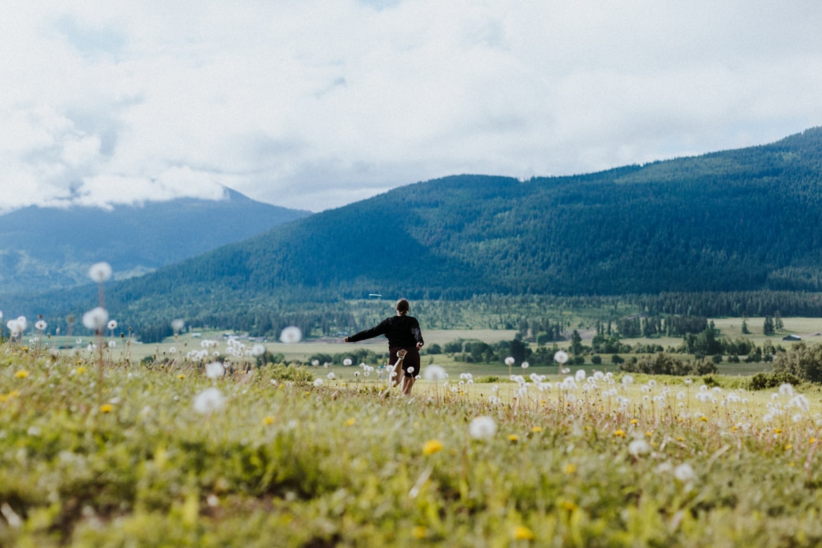 Mental Health and Cognitive Wellness